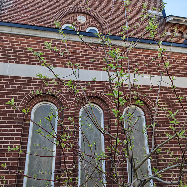 Exterior of church where brick restoration will take place.